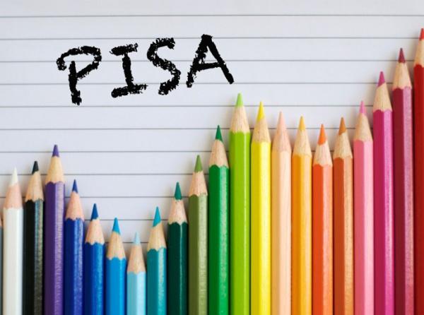 PISA Sonuçlarında Sosyal Bilimler Liselerinden Büyük Başarı